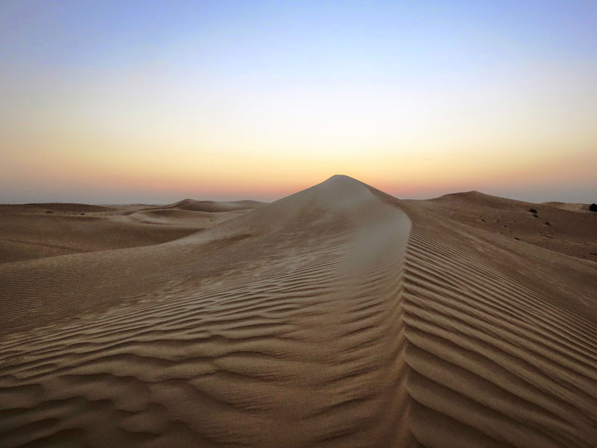 Pustynia Al Qudra w Dubaju. Zjednoczone Emiraty Arabskie.