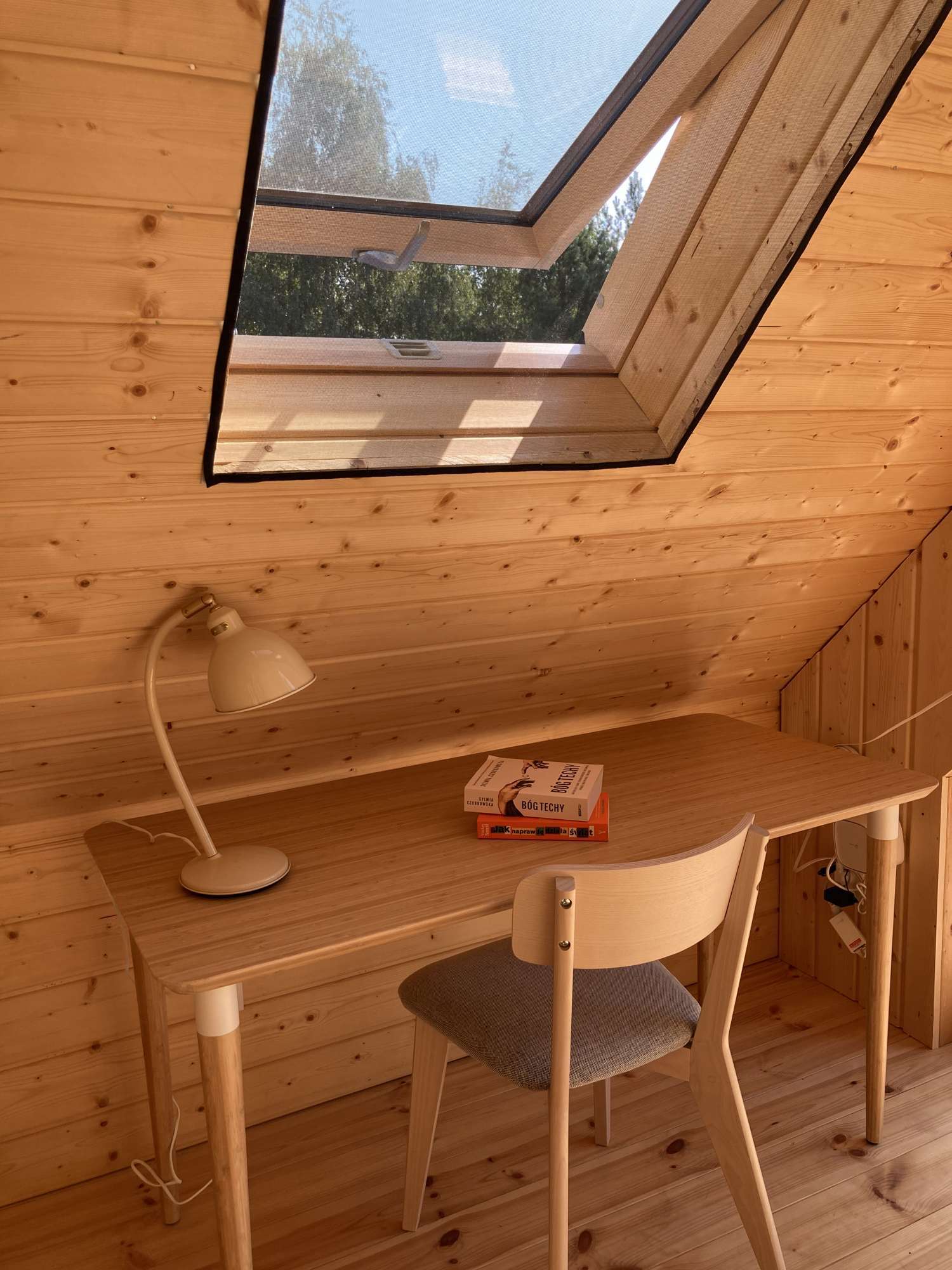 Wakacje z psem w domku nad jeziorem. Louisiana Catahoula Leopard Dog.