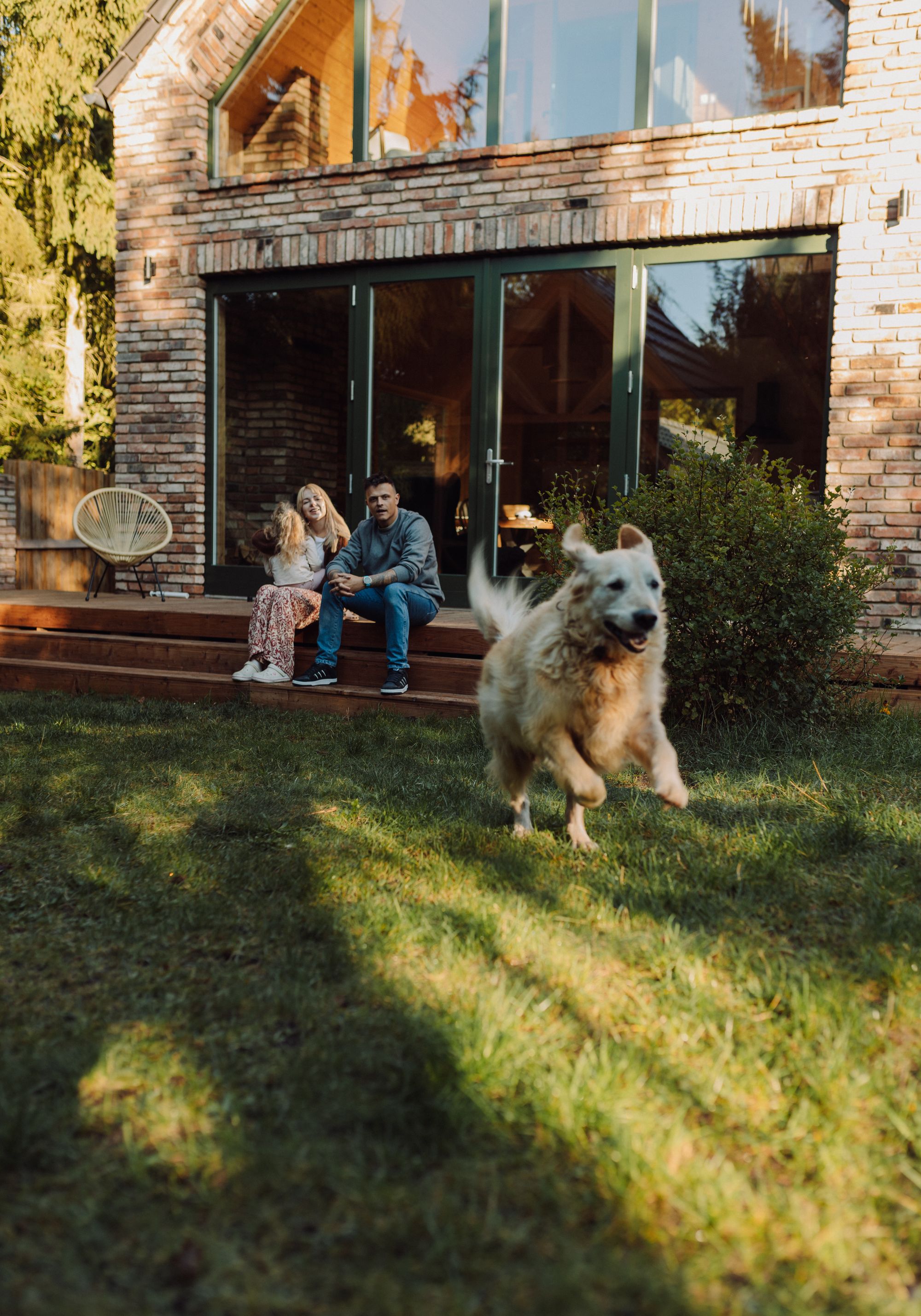 Wakacje z psem w domu nad jeziorem. Golden Retriever.