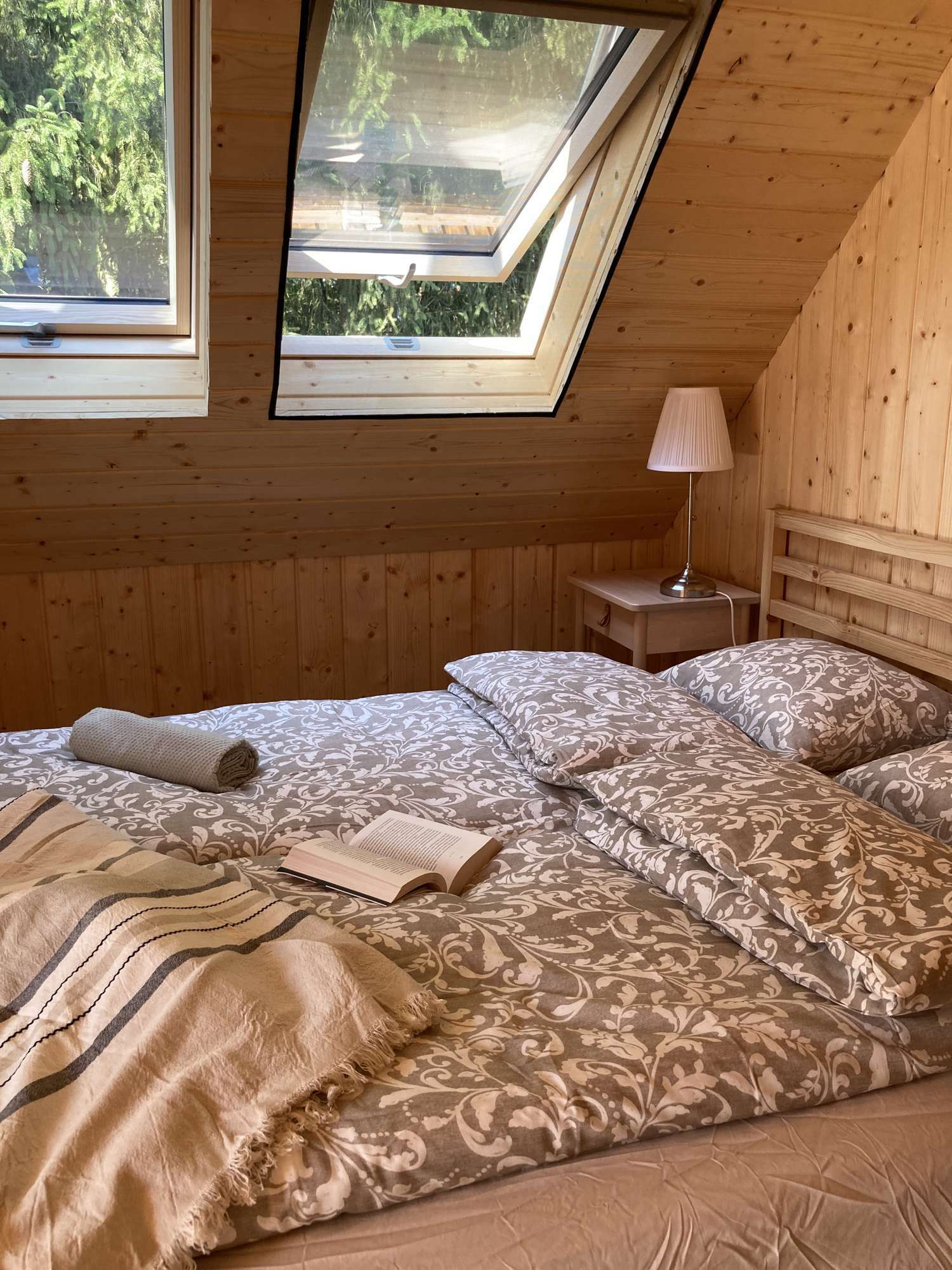 Domek nad jeziorem - wakacje z psem. Louisiana Catahoula Leopard Dog.